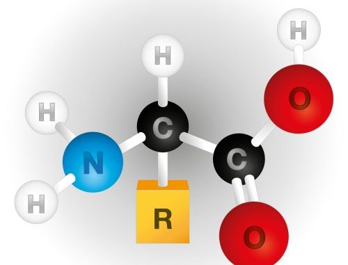 Amino Acids