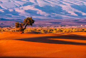 A Symphony of Dunes